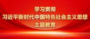 鸡鸡进洞洞小视频学习贯彻习近平新时代中国特色社会主义思想主题教育_fororder_ad-371X160(2)